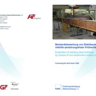 Fostabericht P 859 - Bestandsbewertung von Stahlbauwerken mithilfe zerstörungsfreier Prüfverfahren